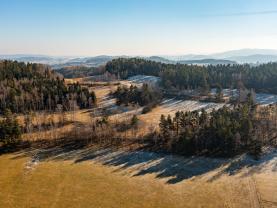 Prodej lesa, 14147 m², Nišovice