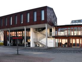Pronájem kan. prostoru, 234 m², Ostrava, ul. Brandlova