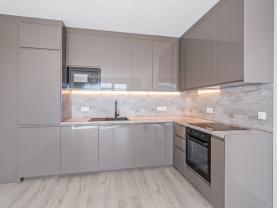 Pronájem bytu 2+kk, 42 m², Plzeň - Litice