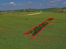 Prodej ovocného sadu, 14490 m², Zaječí