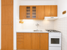 Pronájem bytu 1+KK, 35 m², Plzeň, ul. Nad Týncem