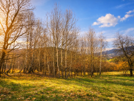 Prodej louky, 5876 m², Mikulůvka