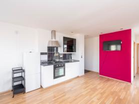 Pronájem bytu 2+kk, 45 m², Praha 6 - Břevnov, ul. Patočkova