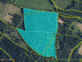 Prodej lesa, 19245 m², Bratrušov