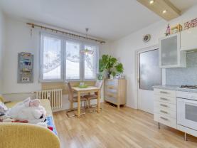 Pronájem bytu 1+1, 36 m², Plzeň, ul. Elišky Krásnohorské