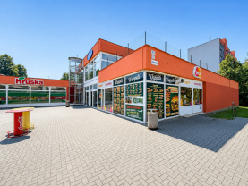 Pronájem obchod a služby, 297 m², Karviná, ul. Borovského