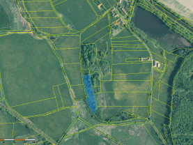 Prodej provozní plochy, 6159 m², Skály