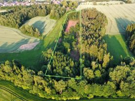 Prodej lesa, 17153 m², Božejov