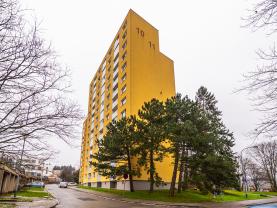 Prodej bytu 2+1, 68,76 m², Brno, ul. Horácké náměstí