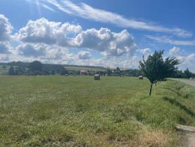 Prodej pozemku k bydlení, 4806 m², Větřkovice