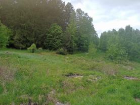Prodej louky, 7967 m², Kořenov, Liberec