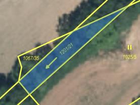 Prodej vodní plochy, 318 m², Jesenice