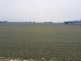 Prodej pozemku k bydlení, 3683 m², Hrušovany nad Jevišovkou