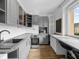 Prodej bytu 2+1, 53 m², Ústí nad Labem, ul. Studentská
