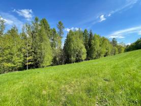 Prodej louky, 1828 m², Ruda nad Moravou