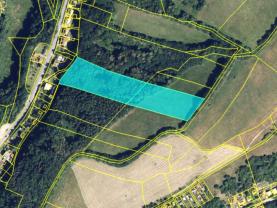 Prodej lesa a louky, 5070 m², Hlubočky