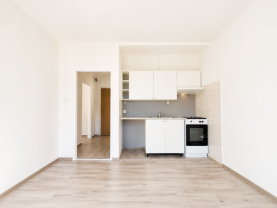 Pronájem bytu 1+1, 32 m², Karviná, ul. Flemingova