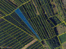 Prodej lesa, 5370 m², Vanovice
