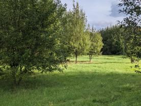 Prodej pozemku k bydlení, 4912 m², Kladno-Motyčín