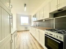 Pronájem bytu 3+1 v Teplicích, ul. Edisonova