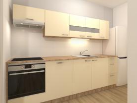Pronájem bytu 2+1, 70 m², Opava, ul. Mánesova