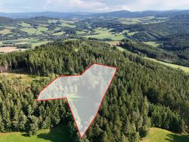 Prodej lesa, 15707 m², Petrovice u Sušice