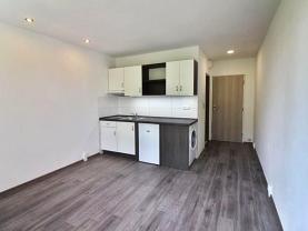 Prodej bytu 1+kk, 18 m², Louny, ul. Přemyslovců