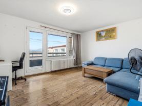 Prodej bytu 4+1, 88 m², Teplice, ul. Olbrachtova