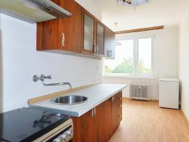 Prodej bytu 1+1, 47 m², OV, Chomutov, ul. Písečná