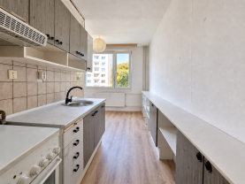 Pronájem bytu 1+1, 47 m², Jirkov, ul. Generála Svobody