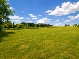 Prodej pozemku k bydlení, 1276 m², Okrouhlice