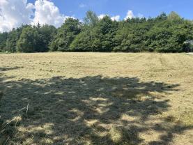 Prodej pozemku k bydlení, 3689 m², Zbraslavice