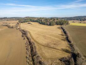 Prodej pole, 53501 m², Čepřovice