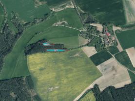 Prodej lesa, 6098 m², Močerady