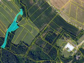 Prodej louky, 4884 m², Skuteč