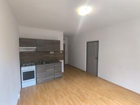 Pronájem bytu 1+1, 36 m², Chomutov, ul. Růžová