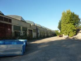 Pronájem skladu, 4400 m², Hronov