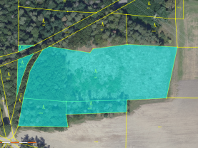 Prodej lesa, 13230 m², Ohaře