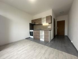 Podnájem bytu 1+1, 36 m², Chomutov, ul. Písečná