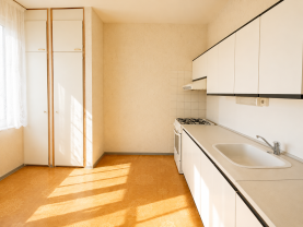 Prodej bytu 2+1, 44 m², Ostrava, ul. Podroužkova