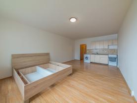 Pronájem bytu 1+kk, 32 m², Orlová, ul. F. S. Tůmy