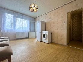 Prodej bytu 1+1, 25 m², Krupka, ul. Sídliště