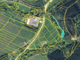 Prodej lesa, 640 m², Stárkov