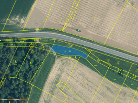 Prodej lesa, 711 m², Malý Bor