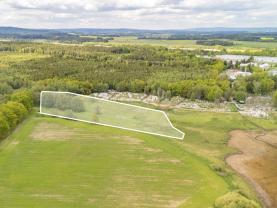 Prodej louky, 30115 m², Bor