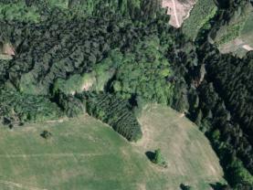 Prodej lesa, 8743 m², Valašská Senice