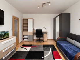 Prodej bytu 1+1, 36 m², Karlovy Vary, ul. Školní