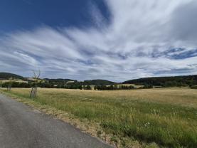Prodej louky, 25808 m², Malenice