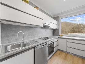 Prodej bytu 4+1 s lodžií v Ústí nad Labem, ul. Vinařská