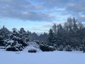 Prodej zahrady, 6000 m², Hronov